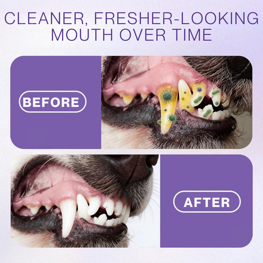 ✨ Official Store | Healrize® Zinc-Ion Oral Rescue Spray: The 1-Step "No-Brush" Dental Fix