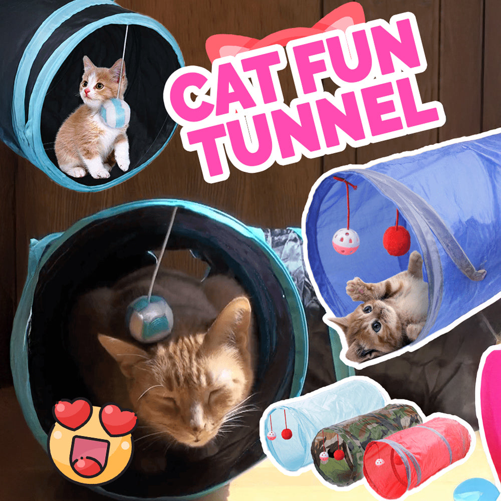 Cat Fun Tunnel