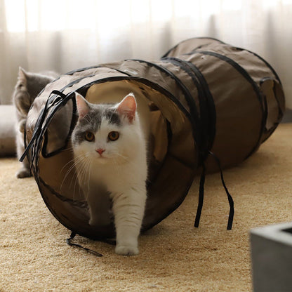 Cat Fun Tunnel