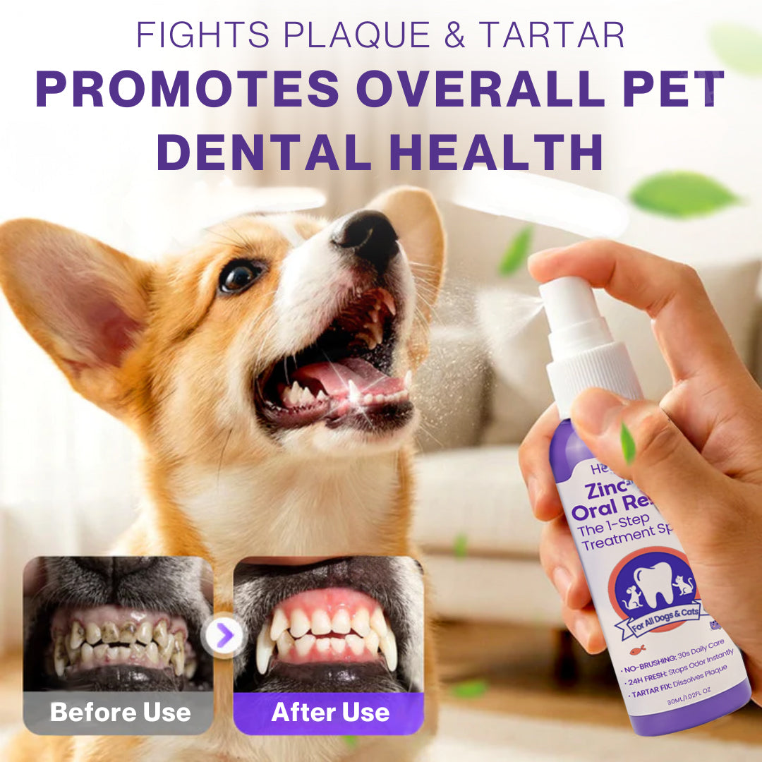 ✨ Official Store | Healrize® Zinc-Ion Oral Rescue Spray: The 1-Step "No-Brush" Dental Fix