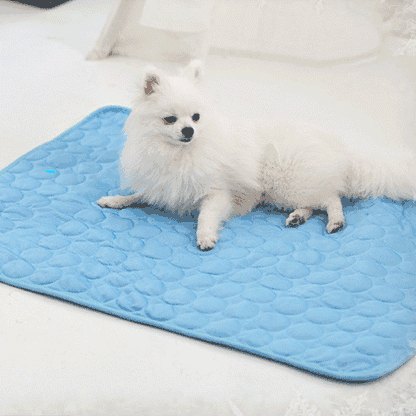 Pet Cooling Mat