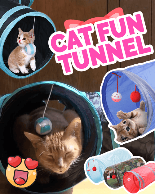 Cat Fun Tunnel