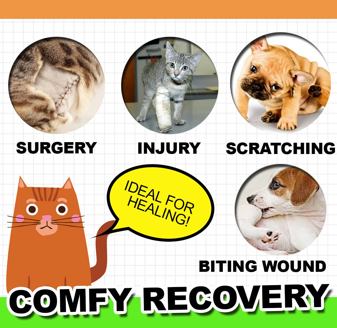 Adjustable Comfy Pet Cone