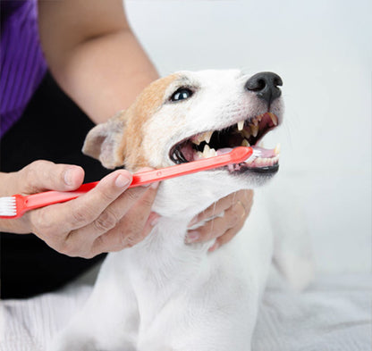 Toothpaste for Pet