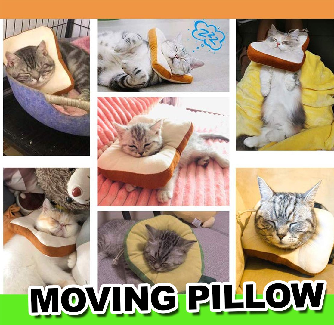 Adjustable Comfy Pet Cone