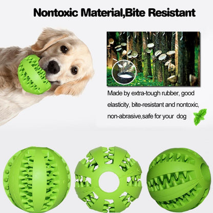 INTERACTIVE CHEW TOY BALLS for Pets