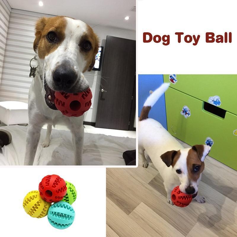 INTERACTIVE CHEW TOY BALLS for Pets