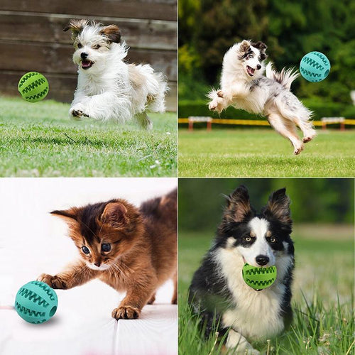 INTERACTIVE CHEW TOY BALLS for Pets