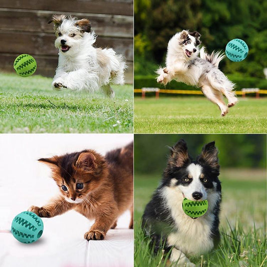 INTERACTIVE CHEW TOY BALLS for Pets